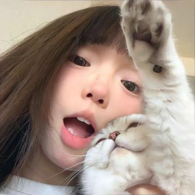 你好布拉德