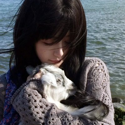 顽皮豹在树林里